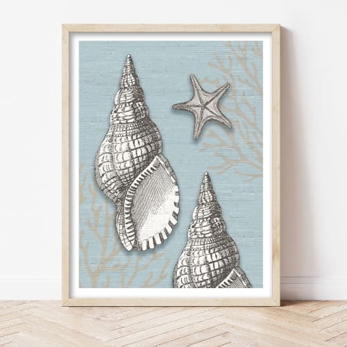 Seashell Fine Art Print-UNFRAMED | Prints by Suzanne Nicoll Studio