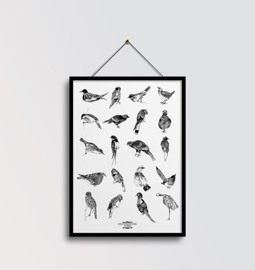 An Illustrated Guide to Birds | Wall Hangings by Chrysa Koukoura