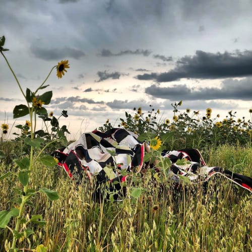 Log Cabin Series Quilt | Linens & Bedding by Luke Haynes