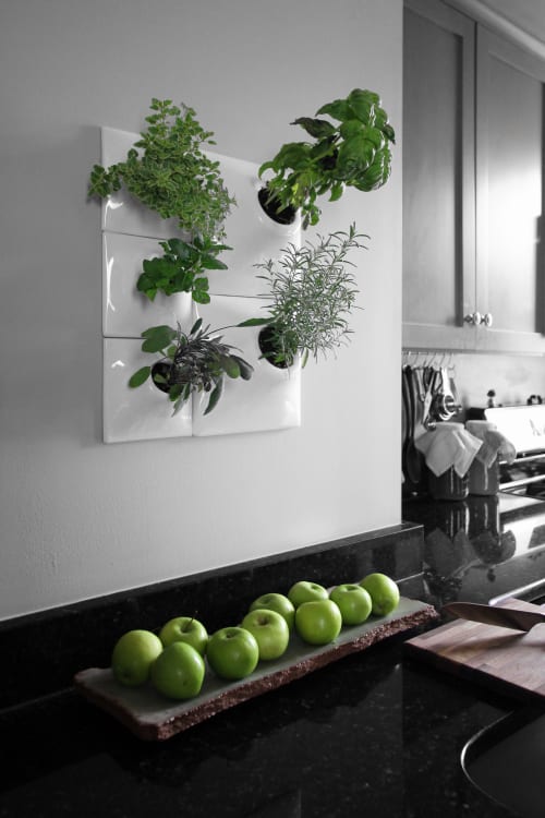 Modern Herb Wall - Vertical Garden - Node Wall Planter | Plants & Landscape by Pandemic Design Studio | Philadelphia in Philadelphia