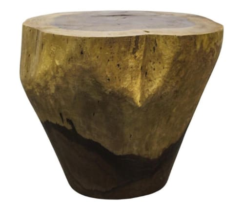 Carved Live Edge Solid Wood Trunk Table ƒ10 by Costantini | Side Table in Tables by Costantini Design