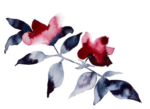 Floral No. 23 : Original Watercolor Painting | Paintings by Elizabeth Becker