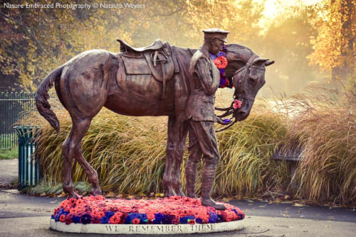 The Romsey War Horse | Public Sculptures by Amy Goodman. Sculptor & Portrait Artist