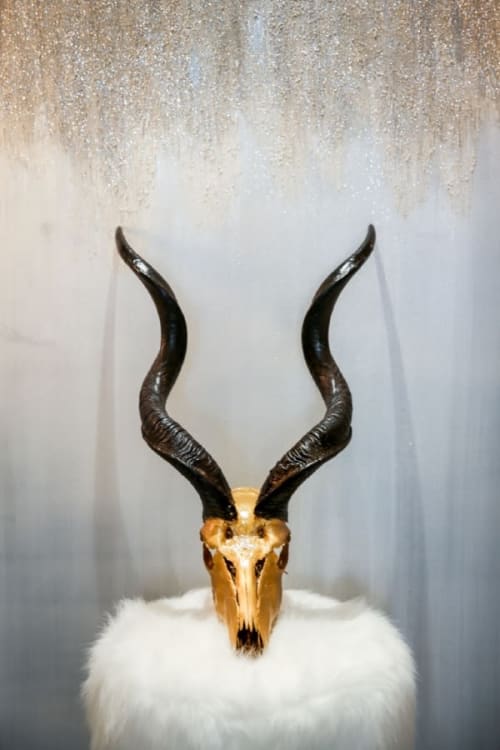 Africa Kudu Skull - Gold | Decorative Objects by Gypsy Mountain Skulls