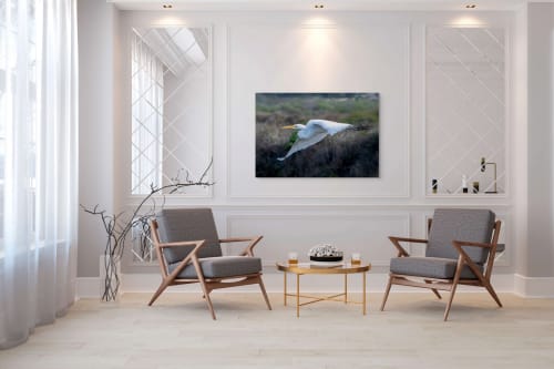 Wings... | Photography by Daniel