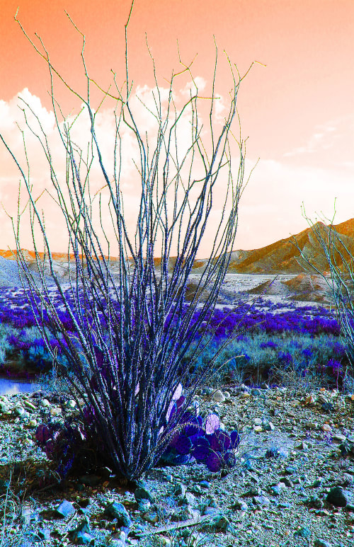 Hues of Blues | Photography by Sabine Senft