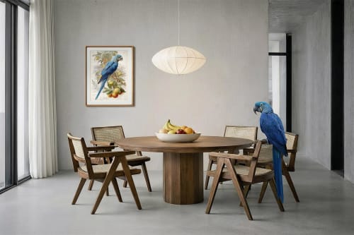 Morris the Hyacinth Macaw | Prints by Studio Linnæus