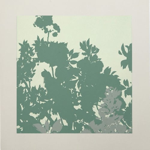 OutGrow #9 | Prints by Phillip Hua