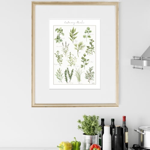 Culinary Herb Art Print - Botanical Watercolor Kitchen Art | Prints by Jennifer Lorton Art