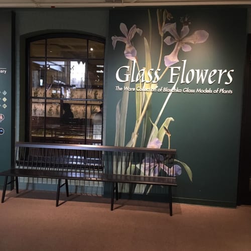 Commercial Ebonized Spindle Back Bench | Benches & Ottomans by Miikana Woodworking | The Harvard Museum of Natural History in Cambridge