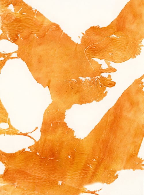 Marmalade, 1 Canvas Print | Paintings by MELISSA RENEE fieryfordeepblue  Art & Design