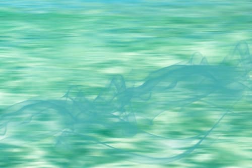 The smell of the ocean | Paintings by Irena Orlov
