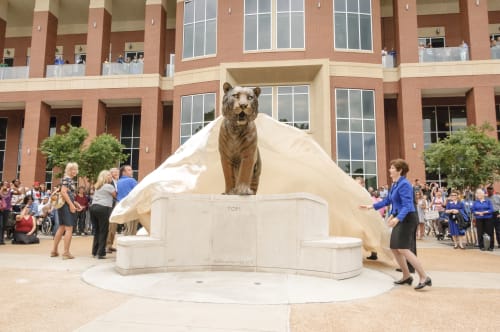 Tom the Tiger at the University of Memphis | Public Sculptures by David Alan Clark Sculpture | University Of Memphis Central Parking Lot in Memphis
