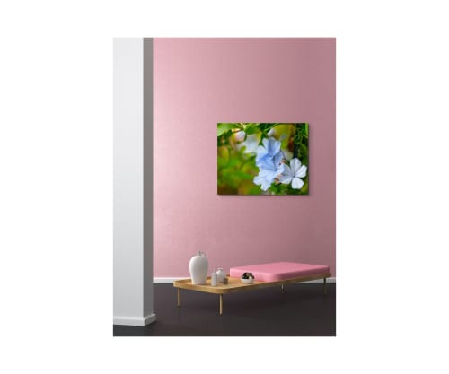 Light Blue Digital-only offering exclusively for Trade | Photography by Caroyl La Barge›