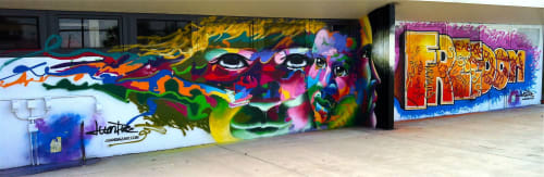 Freedom | Street Murals by Juan Diaz | Fleischman Park Skate Park in Naples