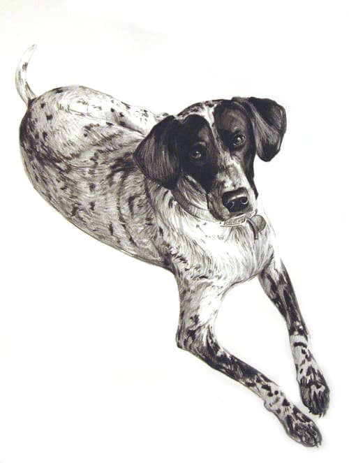 Pet Portrait | Paintings by Lisa Gleim Fine Art