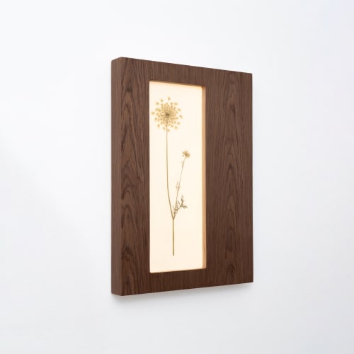 Herbarium Mini: Daucus Carota - Wall Light Sculpture | Wall Sculpture in Wall Hangings by Mateusz Wappa Design & Research