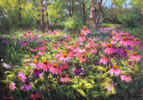 Coneflowers in Virginia | Drawings by Julia Lesnichy Art