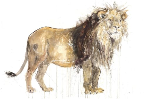 Lion | Paintings by Dave White
