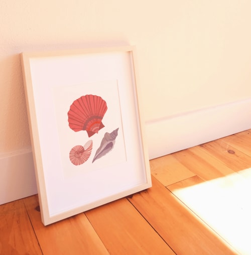 Seashell Study | Prints by Elana Gabrielle