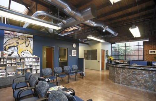 Golden Retriever Portrait | Oil And Acrylic Painting in Paintings by Lulu Bella Art | VCA Firehouse Animal Hospital in Denver