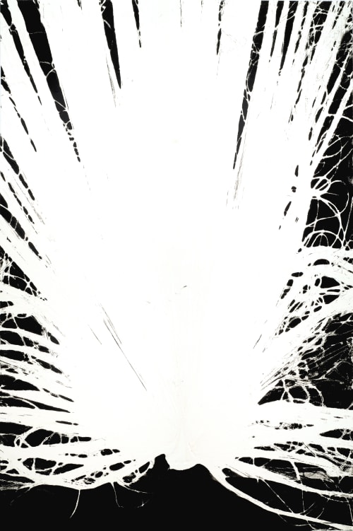 Majesty Palm | Prints by Erik Linton