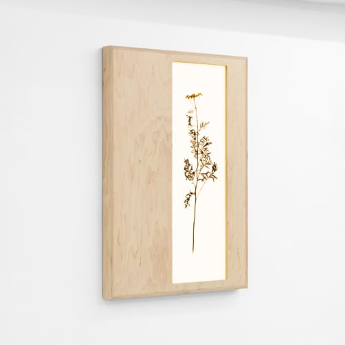 Herbarium: Tanacetum Vulgare - Wall Light Sculpture | Wall Sculpture in Wall Hangings by Mateusz Wappa Design & Research