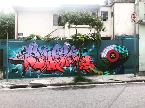 Graffiti Mural | Street Murals by Tinho