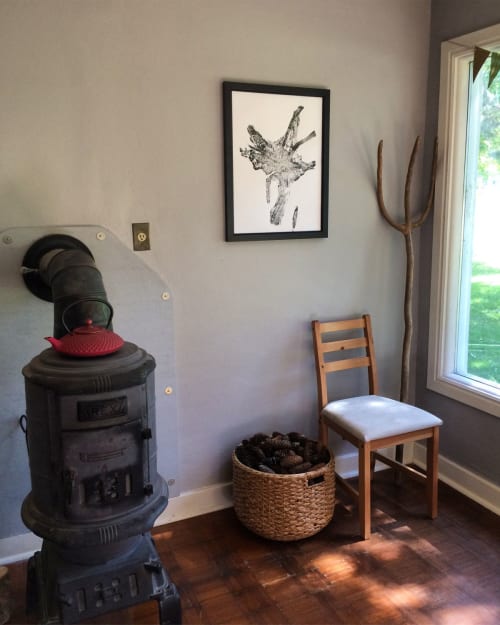 Real Tree Roots, Tree Ring Print | Prints by Erik Linton