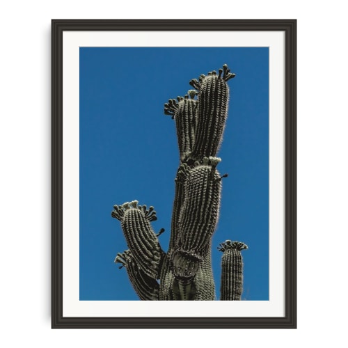 JUNO | Minimalist Wall Art | Southwest | Fine Art Print | Photography by Jess Ansik