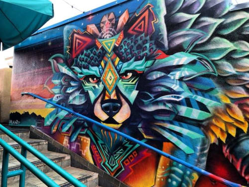 Coyote Vision | Murals by VELA ART | Coyote Cafe & Rooftop Cantina in Santa Fe