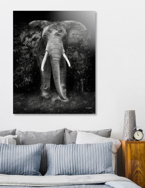 The Disappearance of the Elephant | Photography by Erik Brede Photography & Digital Art | Hotel Gotham in Manchester