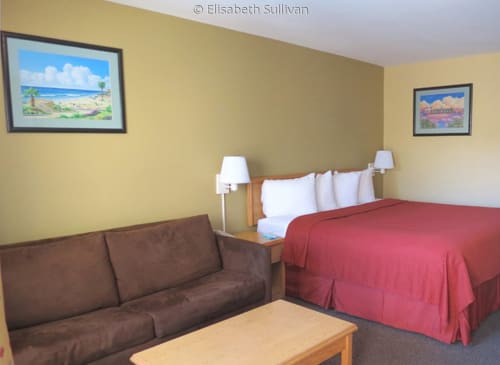 "Moonlight Beach" | Paintings by Elisabeth Sullivan | Quality Inn Encinitas Near Legoland in Encinitas
