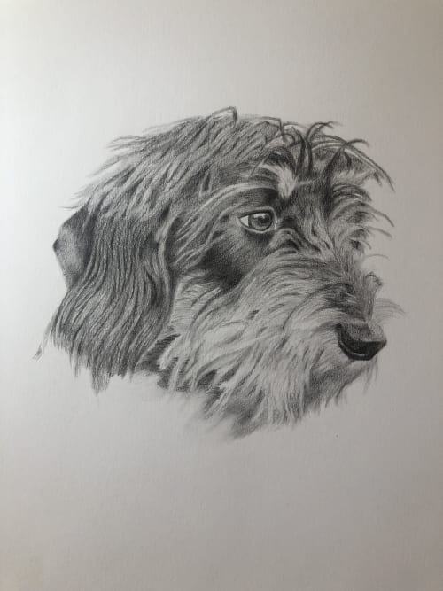 Pet Pencil Portrait | Drawings by Lottie Anderson Studio | London in London