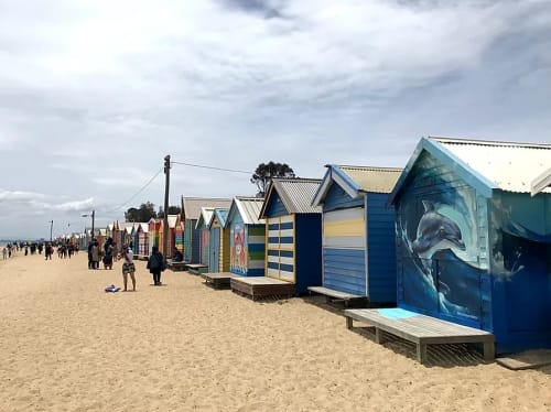 Dolphin Surfer | Murals by Damien Arena | Brighton Bathing Boxes in Brighton