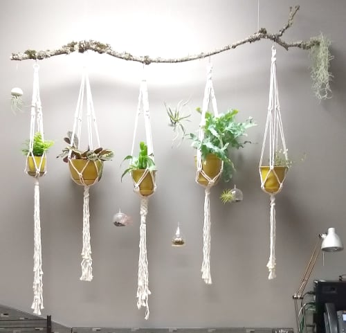 Five Plant Hangers | Macrame Wall Hanging by Q Wollock | Sweet Life Patisserie in Eugene