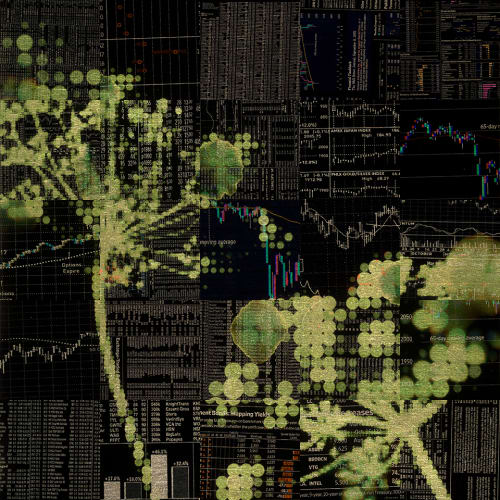 Variegated Value | Prints by Phillip Hua