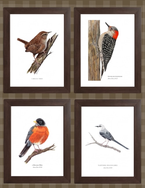 Set of 4 framed bird prints | Drawings by Stacie Dale