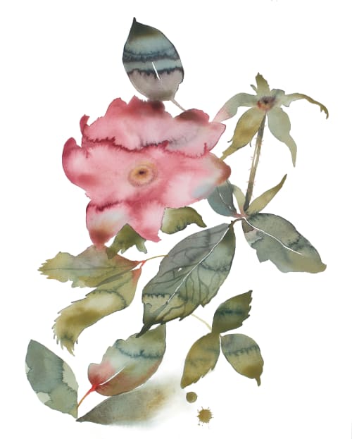 Rose Study No. 88 : Original Watercolor Painting | Paintings by Elizabeth Becker
