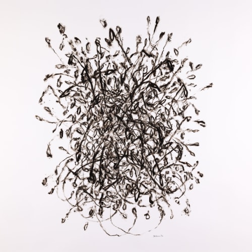 Sunflower Seeds | Drawings by Sally K. Smith