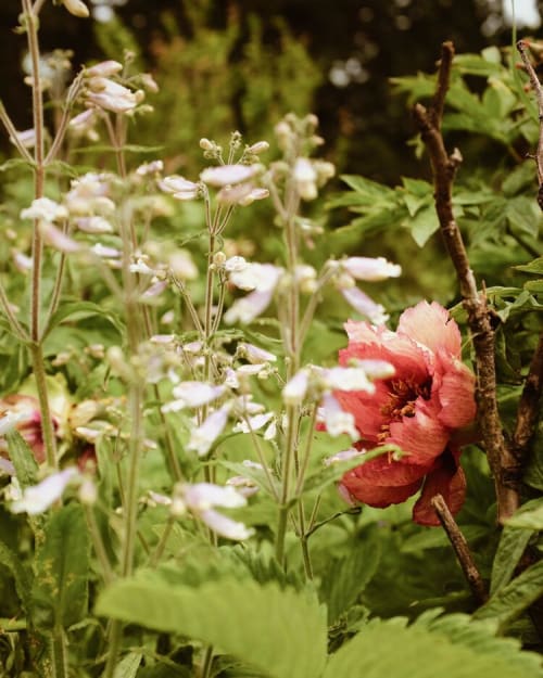 In Quiet Solitude 23 Print | Photography by Emily Tingey