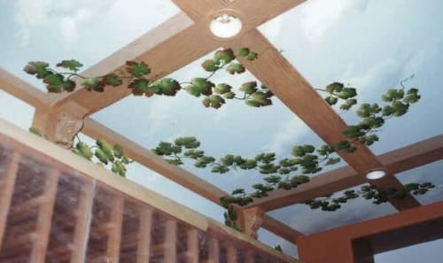 Wine Cellar Ceiling | Murals by Jeff Raum Studios | Private Residence, Palos Verdes Estates in Palos Verdes Estates