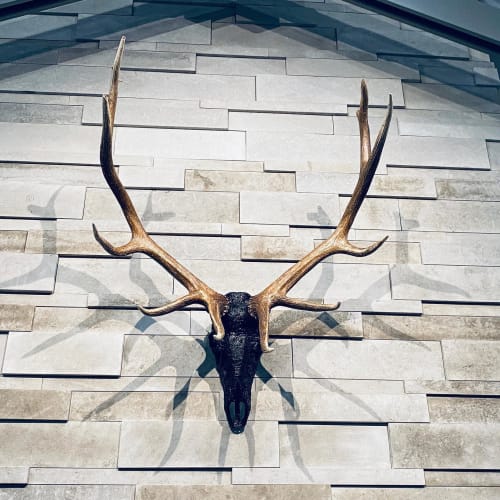 Customized Laced Elk | Wall Sculpture in Wall Hangings by Gypsy Mountain Skulls