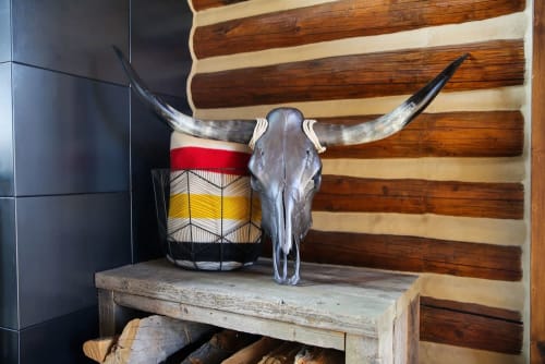 Anvil Grey Longhorn | Decorative Objects by Gypsy Mountain Skulls