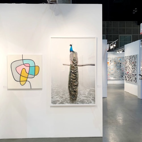 Patience Peacock | Prints by Alice Zilberberg | Los Angeles Convention Center in Los Angeles