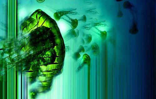 Gena X | Digital Art in Art & Wall Decor by TT