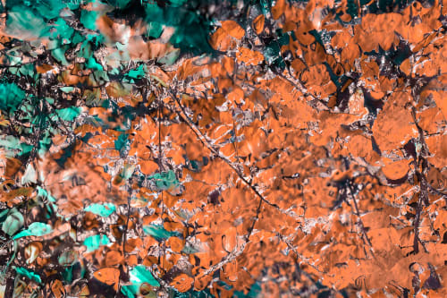 FRAGMENTS OF IRIS (18"x12" — 60"x40") | Wall Art | Fine Art | Digital Art in Art & Wall Decor by Jess Ansik