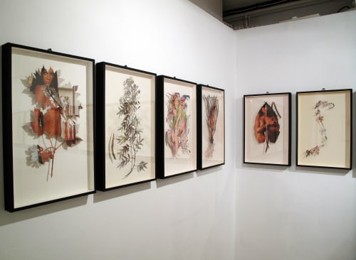 Plant 71 - Box Framed Botanical Cutout, Vintage Centerfold | Paintings by Paolo Giardi | Pump House Gallery in London