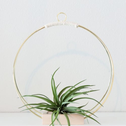 Plant Hanger | Plants & Landscape by Braid & Wood Design Studio | Work Hard Plant Hard in Encinitas