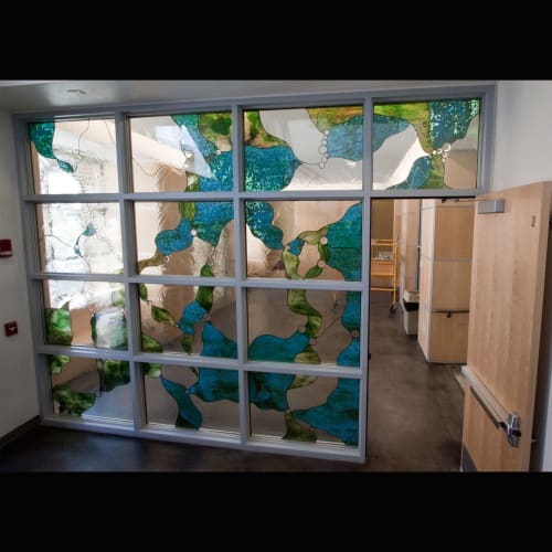 Cellular Reflections | Public Art by Naomi's Art Glass | Fort Lewis College in Durango